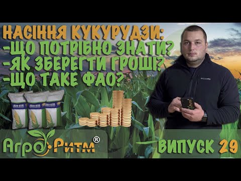 Видео: СЕМЕНА КУКУРУЗЫ:ЧТО НУЖНО ЗНАТЬ ЧТО БЫ СЭКОНОМИТЬ?ЧТО ТАКОЕ ФАО?