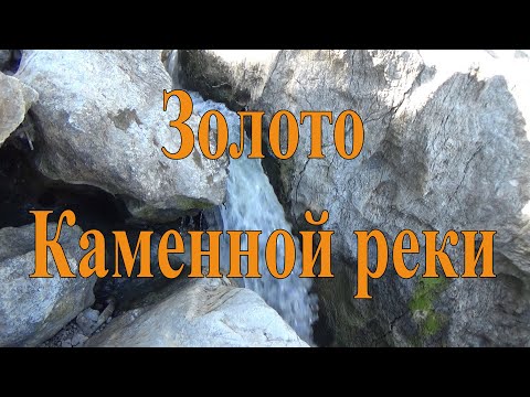 Видео: Золото Каменной реки! Gold of the Stone River!
