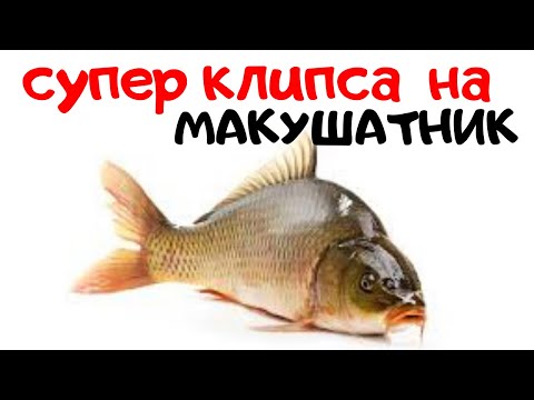 Видео: КАК СДЕЛАТЬ СУПЕР   КЛИПСУ ДЛЯ МАКУШАТНИКА .