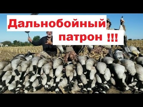Видео: Дальнобойный патрон! Патрон на гуся. Азы!