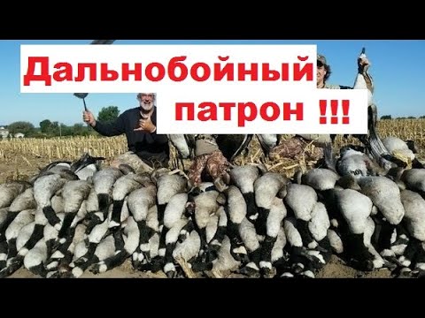 Видео: Дальнобойный патрон! Патрон на гуся. Азы!