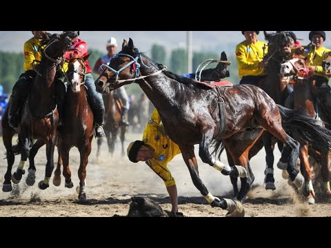 Видео: Сӯх купкари улоқ Ако Ғайрат (1-қисм). 24.01.2021