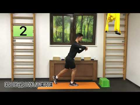 Видео: КРУГОВАЯ ТРЕНИРОВКА ДЛЯ НОВИЧКОВ НА ЖИРОСЖИГАНИЕ