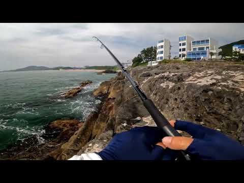 Видео: Морская рыбалка с берега. Южная Корея. Камбала, Тригла