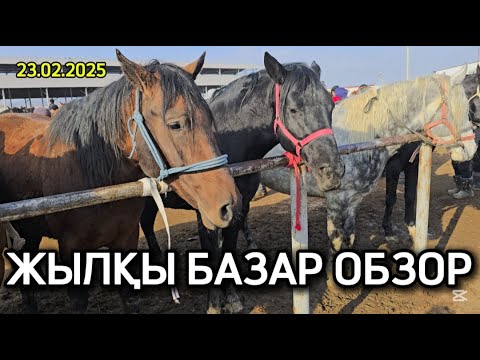 Видео: ЖЫЛҚЫ БАЗАР / ТАРАЗ МАЛ БАЗАР 23.02.2025
