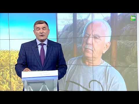 Видео: Туган җир | 12/07/24