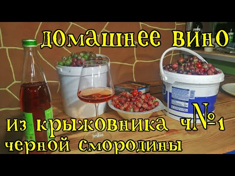 Видео: домашнее вино из крыжовника и черной смородины 2020 ч1