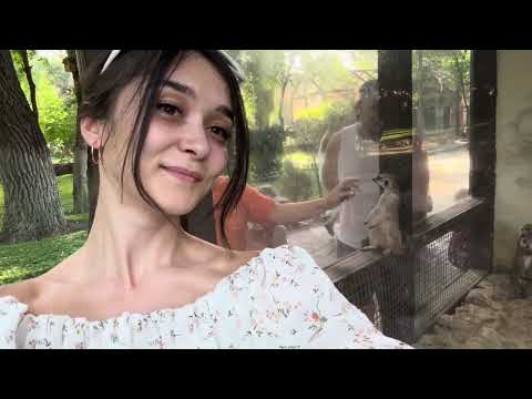 Видео: Парк «Лога́» — ландшафтный парк в хуторе Старая Станица Каменского района Ростовской области! #отдых