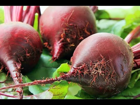 Видео: Как Быстро Сварить СВЕКЛУ .  Два способа.  How to cook the beets for 12 min.