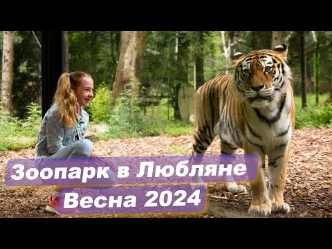 Видео: Прогулка по зоопарку. Любляна. Словения.