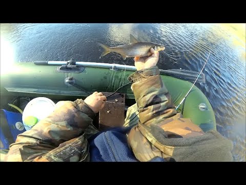 Видео: Ловля СЫРТИ (ВИМБА) На Снасти Кольцо и Фидер . Весна 2020г.