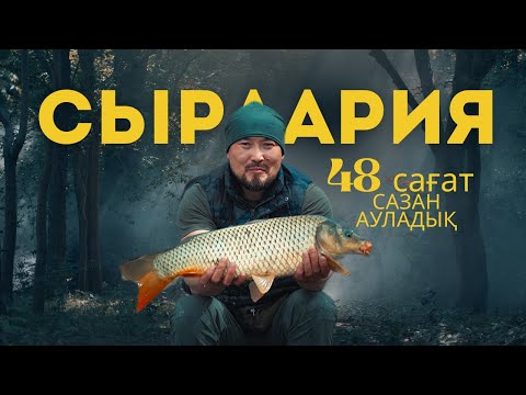 Видео: СЫРДАРИЯ САЗАН АУЛАУ