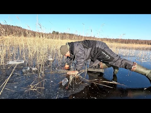 Видео: Зимова риболовля з криги за щукою на жерлиці
