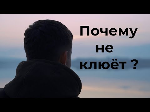 Видео: Ответ на вопрос: почему не клюёт?  Первое видео!! Ловля фидером на карьере.