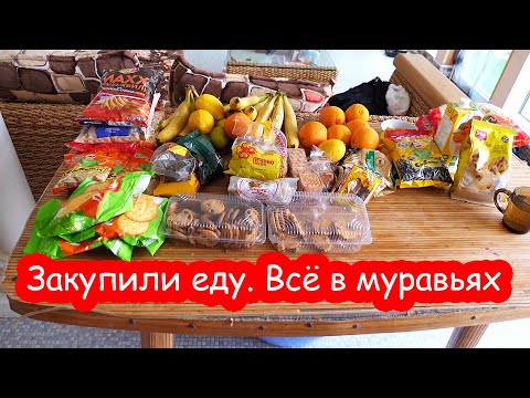 Видео: VLOG А у меня уборка. Играем с дочками