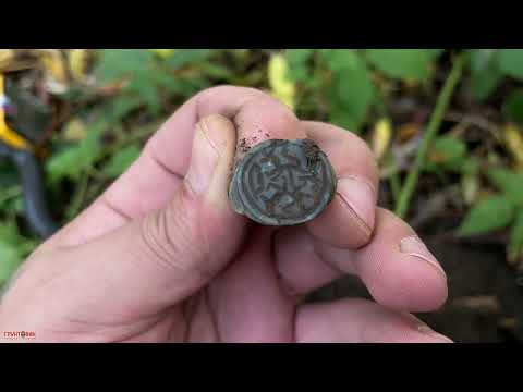 Видео: В этом месте люди теряли монеты  Коп в лесу