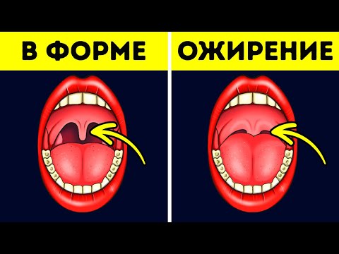 Видео: 90 фактов о теле, доказывающих, что мы все немного странны