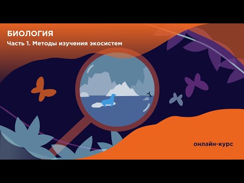 Видео: Видеолекция по теме  8.4.4 Высокоэффективная жидкостная хроматография