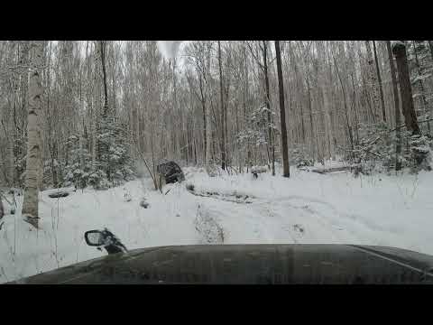 Видео: Рыбалка на хариуса и ленка на реках Хабаровского края. Закрытие сезона. Ноябрь 2021