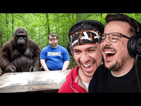 Видео: просмотр неудобных мемов с Эдди