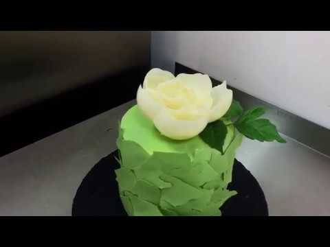 Видео: ШОКОЛАДНЫЙ ПИОН за 10 мин