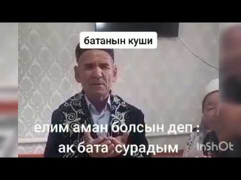 Видео: Назарбай аға руы қосқұлақ