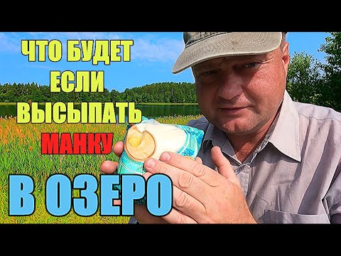 Видео: ВЫСЫПАЛ ПАКЕТ МАНКИ В ВОДУ. Реакция рыбы. Подводная съёмка.