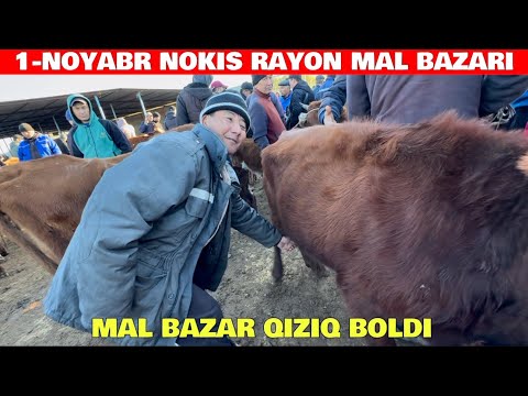 Видео: 1-НОЯБРЯ НОКИС РАЙОН МАЛ БАЗАР БАХАЛАРЫ СКОТНЫЙ РЫНОК БУГАЛАР ПАРОДА