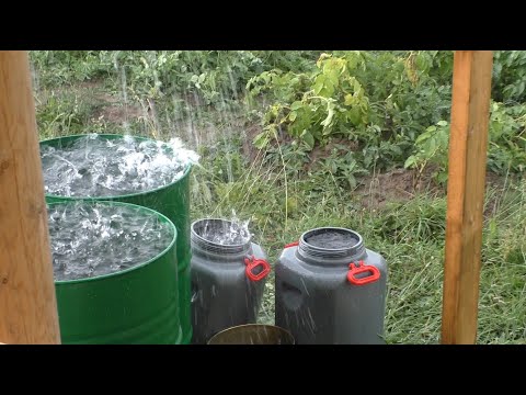 Видео: НА УЧАСТКЕ 2 СЕЗОН # 89 ВИДЕО ОТ АЛЕКСАНДРА ИГРОФФ