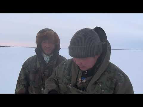 Видео: Эбях. Зимняя традиционная ловля рыбы  (Часть 2)