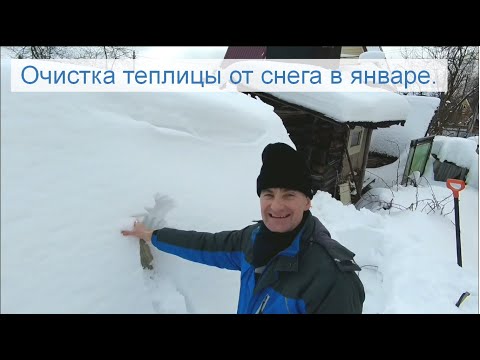 Видео: Очистка теплицы от снеговой нагрузки в январе.