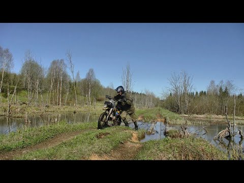 Видео: Кладоискательский поход в заброшенную деревню / 1 часть #418
