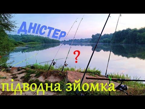 Видео: Що не так з р.Дністер?! Підводна зйомка. Риболовля з ночівлею на Дністрі.
