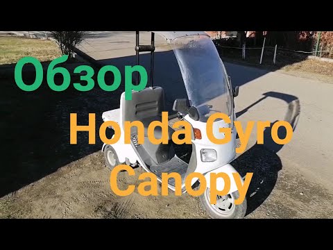 Видео: Обзор на редкий скутер Honda Gyro Canopy