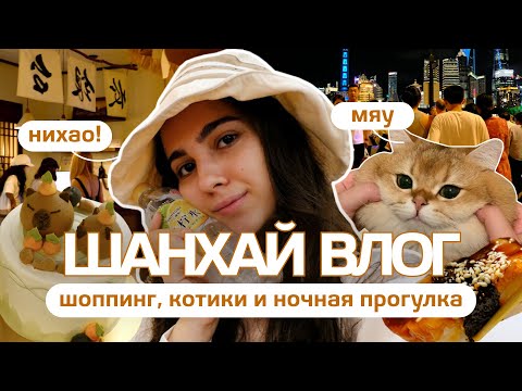 Видео: ЧТО ПОКУПАЮТ В ШАНХАЕ? Мой шоппинг-день в самом крутом городе Китая
