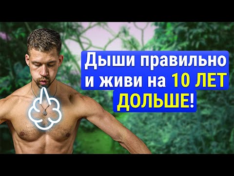 Видео: Как правильно дышать? Руководство по диафрагмальному дыханию от Биохакера