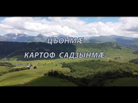 Видео: Аивадон балцы Мамытаты Геннадиимӕ "Цъонмӕ картоф садзынмӕ" 05.07.2020.