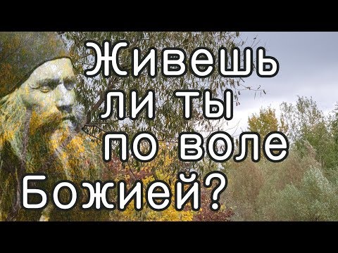 Видео: Как узнать, живешь ли ты по воле Божией? - Силуан Афонский