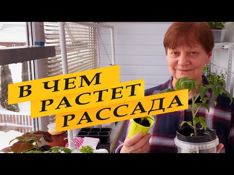 Видео: Сколько грунта надо рассаде.