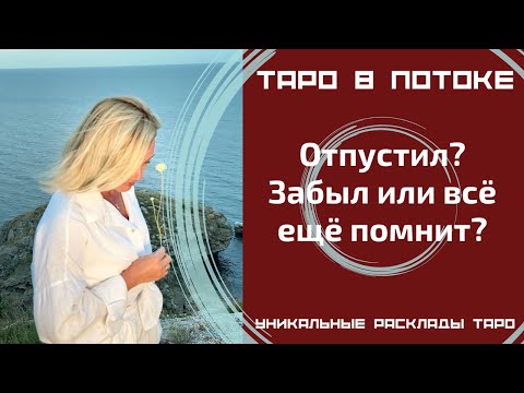 Видео: Отпустил? Забыл или всё ещё помнит?