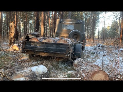 Видео: За дровами на УАЗ Заготовка дров Морозное утро