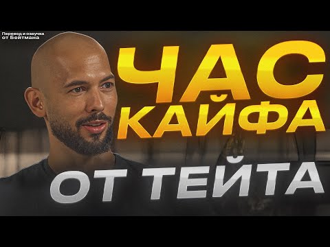 Видео: ЧАС КАЙФА ОТ ТЕЙТА! Все новые Интервью - Перевод от Бейтмана.