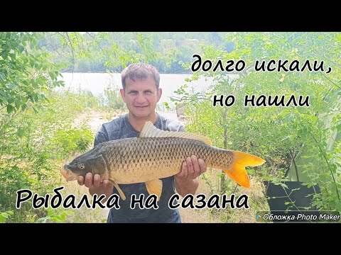 Видео: Наконец-то мы его нашли... Трофейный сазан... и не один...