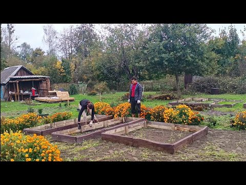 Видео: Купили дом с неухоженным участком, а теперь там мои закрытые грядки/ Собираем урожай всей семьей