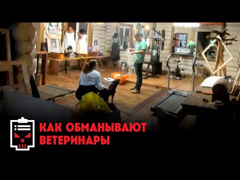 Видео: Как обманывают ветеринары и догситтеры // Чёрный список