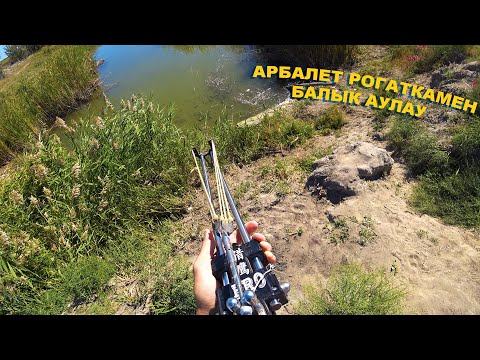 Видео: МЫЛТЫҚ РОГАТКАМЕН БАЛЫҚ АУЛАУ
