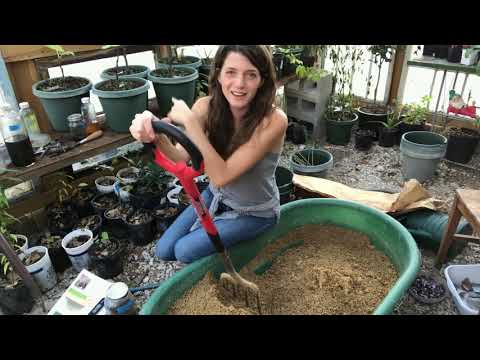 Видео: Лесные заметки: Размножающиеся микробы (IMO3)