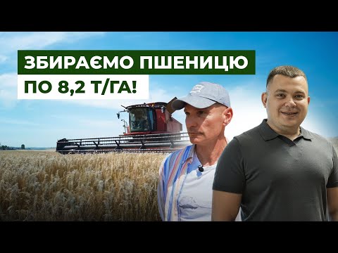 Видео: ВЕРЕС: пшениця по 8 т, три роки без кукурудзи й перехід у дурум. Репортаж з Кіровоградщини