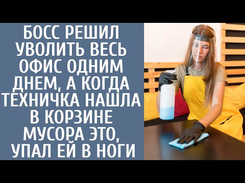 Видео: Босс решил уволить весь офис одним днем, а когда техничка нашла в корзине мусора ЭТО, упал ей в ноги