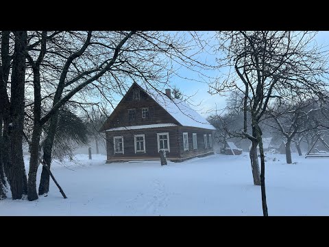 Видео: Как живут белорусские хуторяне. Приключения Михаила из Вятского хутора. #хочувдеревню